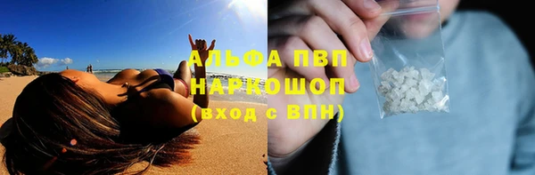 PSILOCYBIN Беломорск
