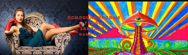 PSILOCYBIN Беломорск