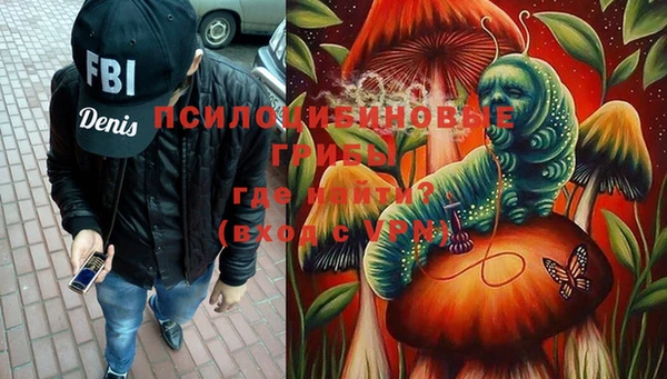 PSILOCYBIN Беломорск
